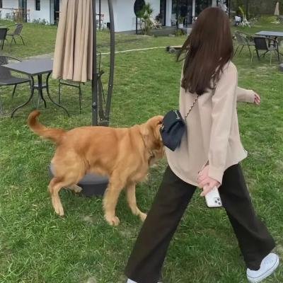 结婚的秘密